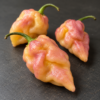 Färsk Pockmark Peach