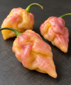 Färsk Pockmark Peach